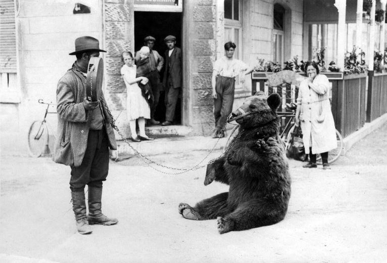 1930 Hartza eta domadorea