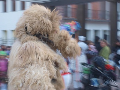 Elizondoko inauteria: Hartza