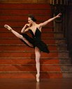 Alicia Amatriain_Cisne Negro-BAJA RESOLUCION.jpg