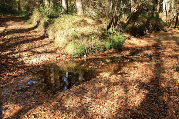 Amezola-erreka Otxandio sorgin-dantza