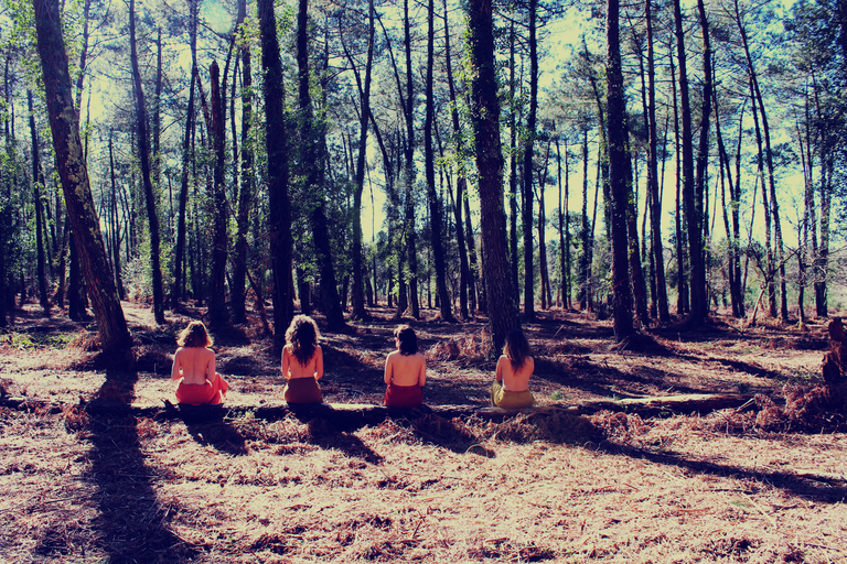 Batcharte dantza: Sor[tu.E]gina 