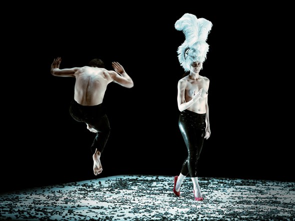 Daniel Abreu: Animal 01 Daniel Abreu: Animal 01