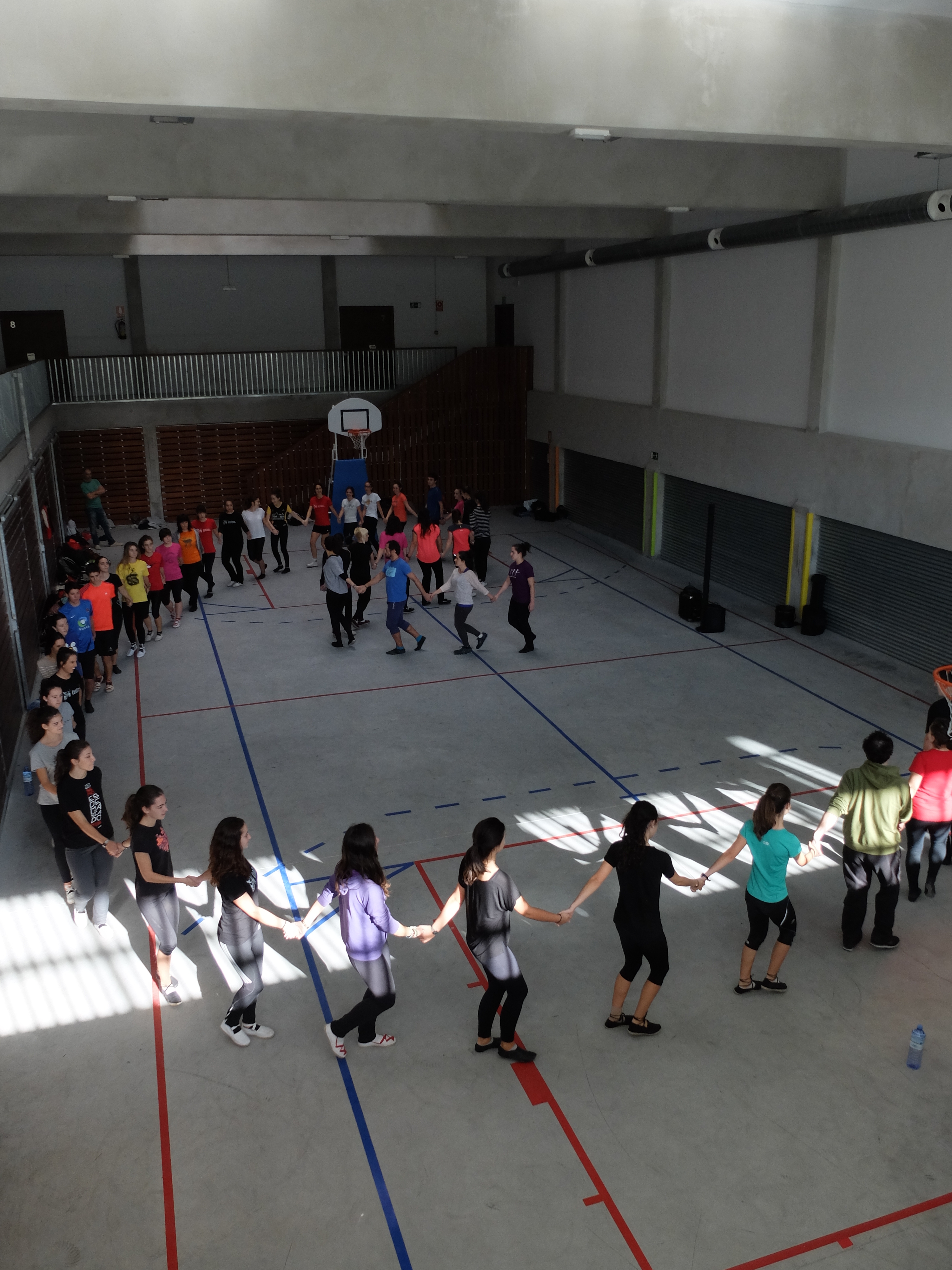 Dantzan Ikasi: dantzan irakasteko baliabideak 01