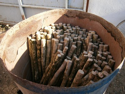 Fustiñana eta Cabanillasko paloteadokoak makilak prestatzen 3 Fustiñana eta Cabanillasko paloteadokoak makilak prestatzen 3