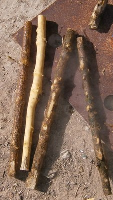 Fustiñana eta Cabanillasko paloteadokoak makilak prestatzen 3 Fustiñana eta Cabanillasko paloteadokoak makilak prestatzen 3