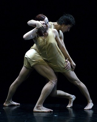 It-dansa T-danz 2010