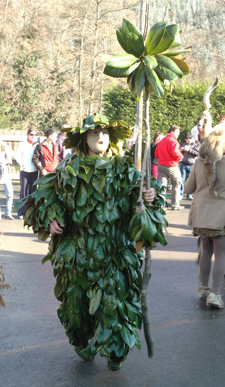 Mozorro begetalak Silio