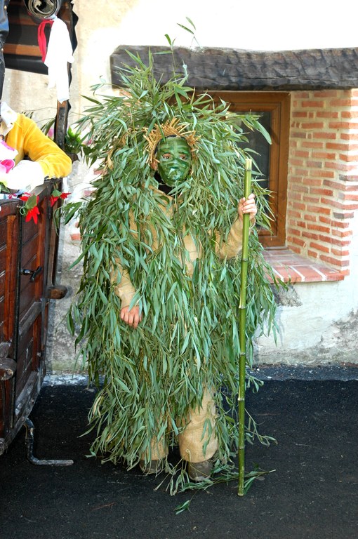 Mozorro begetalak Silio