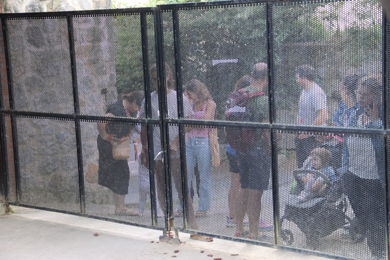 Ordizia haurren aurreskua