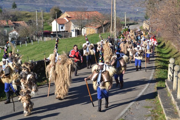 Vijanera inauteria 0053