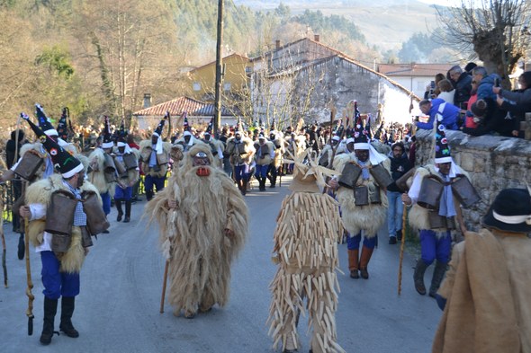 Vijanera inauteria 0109