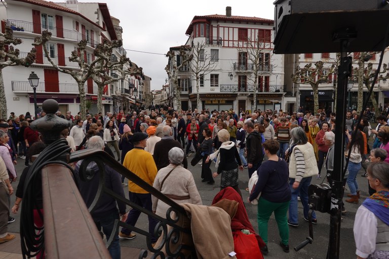 Xirribikarien erromeria Xirribikarien erromeria