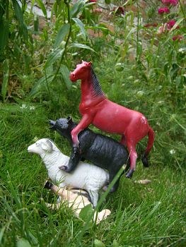 Sorkuntza erraminten tailerra Idoia Zabaletarekin Sorkuntza erraminten tailerra Idoia Zabaletarekin