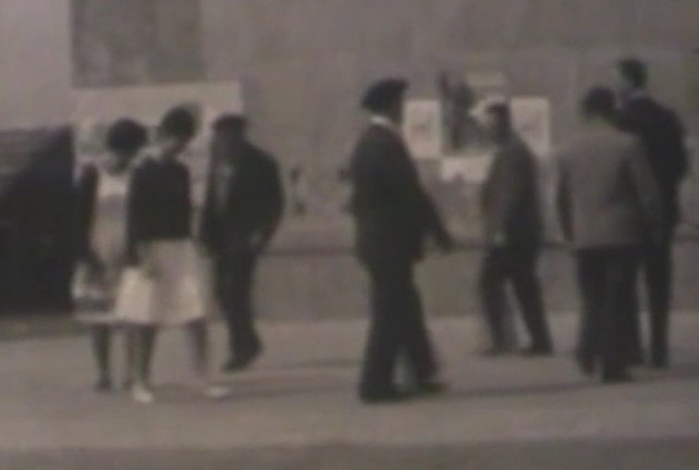 Verdieren begirada: Dantza-jauzien dantzakera Amikuzen XX. mendean Verdieren begirada: Dantza-jauzien dantzakera Amikuzen XX. mendean