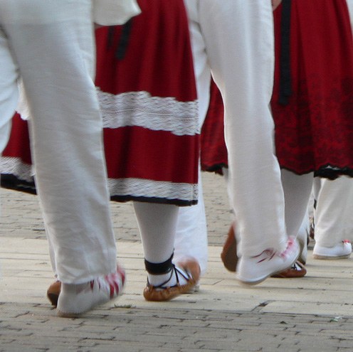 Zaldibia-Iruñea oinez orain 150 urte bezala