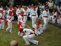 Deba San Roke ezpata-dantza 2002