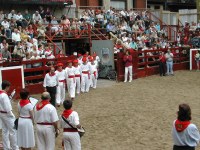 Deba San Roke soka-dantza 2002
