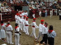 Deba San Roke soka-dantza 2002