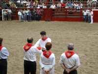 Deba San Roke soka-dantza 2002
