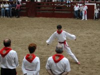 Deba San Roke soka-dantza 2002