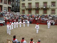 Deba San Roke soka-dantza 2002