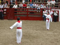 Deba San Roke soka-dantza 2002
