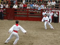 Deba San Roke soka-dantza 2002