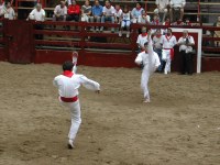 Deba San Roke soka-dantza 2002
