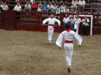 Deba San Roke soka-dantza 2002