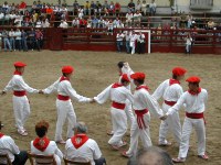 Deba San Roke soka-dantza 2002