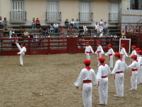 Deba San Roke soka-dantza 2002