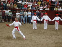 Deba San Roke soka-dantza 2002