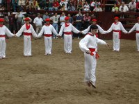 Deba San Roke soka-dantza 2002