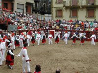 Deba San Roke soka-dantza 2002