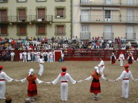 Deba San Roke soka-dantza 2002