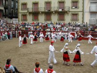 Deba San Roke soka-dantza 2002
