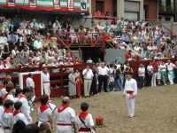 Deba San Roke soka-dantza 2002