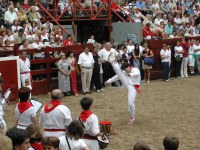 Deba San Roke soka-dantza 2002