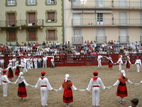 Deba San Roke soka-dantza 2002