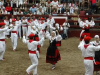 Deba San Roke soka-dantza 2002