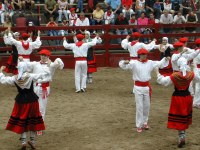 Deba San Roke soka-dantza 2002