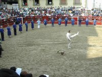 Deba Marinelen soka-dantza 2002