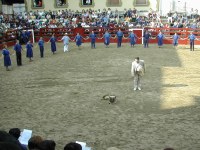 Deba Marinelen soka-dantza 2002