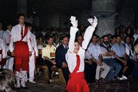 Zumarraga ezpata-dantza Antion 2003