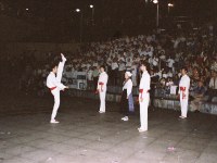 Eibar soka-dantza San Joan 2004