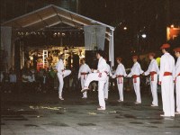 Eibar soka-dantza San Joan 2004