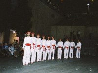 Eibar soka-dantza San Joan 2004