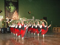 Elgoibarko Haritz Mallabian 2004