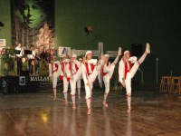 Elgoibarko Haritz Mallabian 2004
