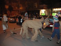 2005-02-05_Altsasuko_inauteriak_Galdakaon_050.jpg